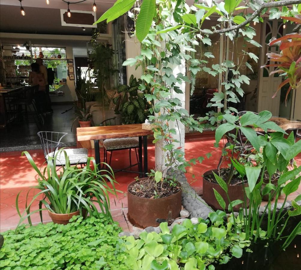 Bed and breakfast Cinco San Salvador